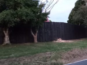 Finished Fence